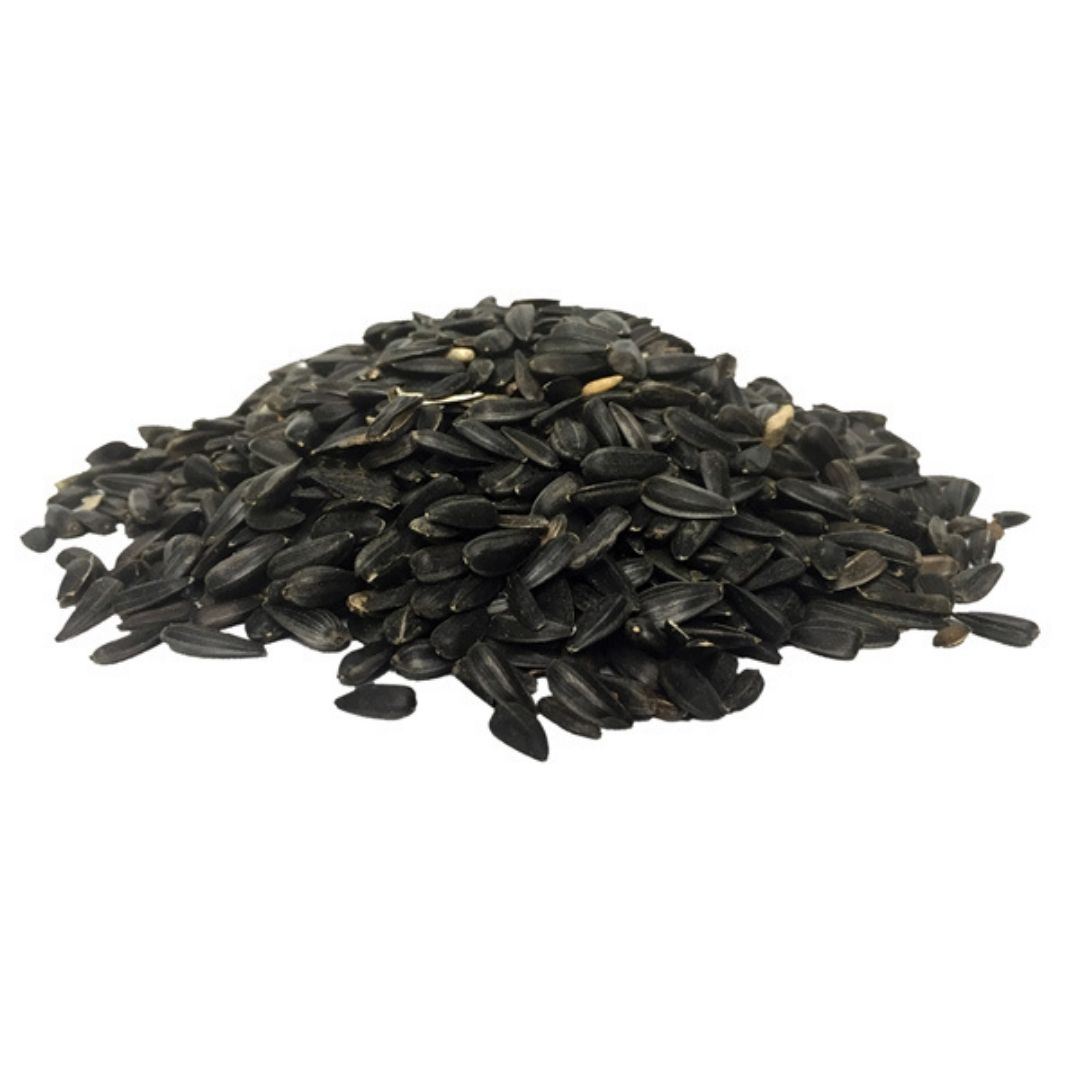 Black Oil Sunflower Seed – Lyric – 25 LB